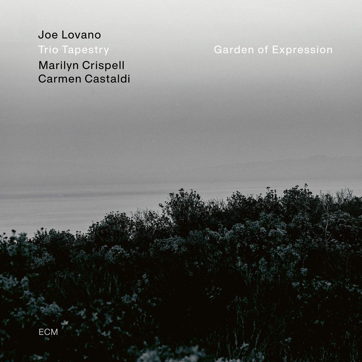 Joe Lovano - Garden of Expression - Vinyle