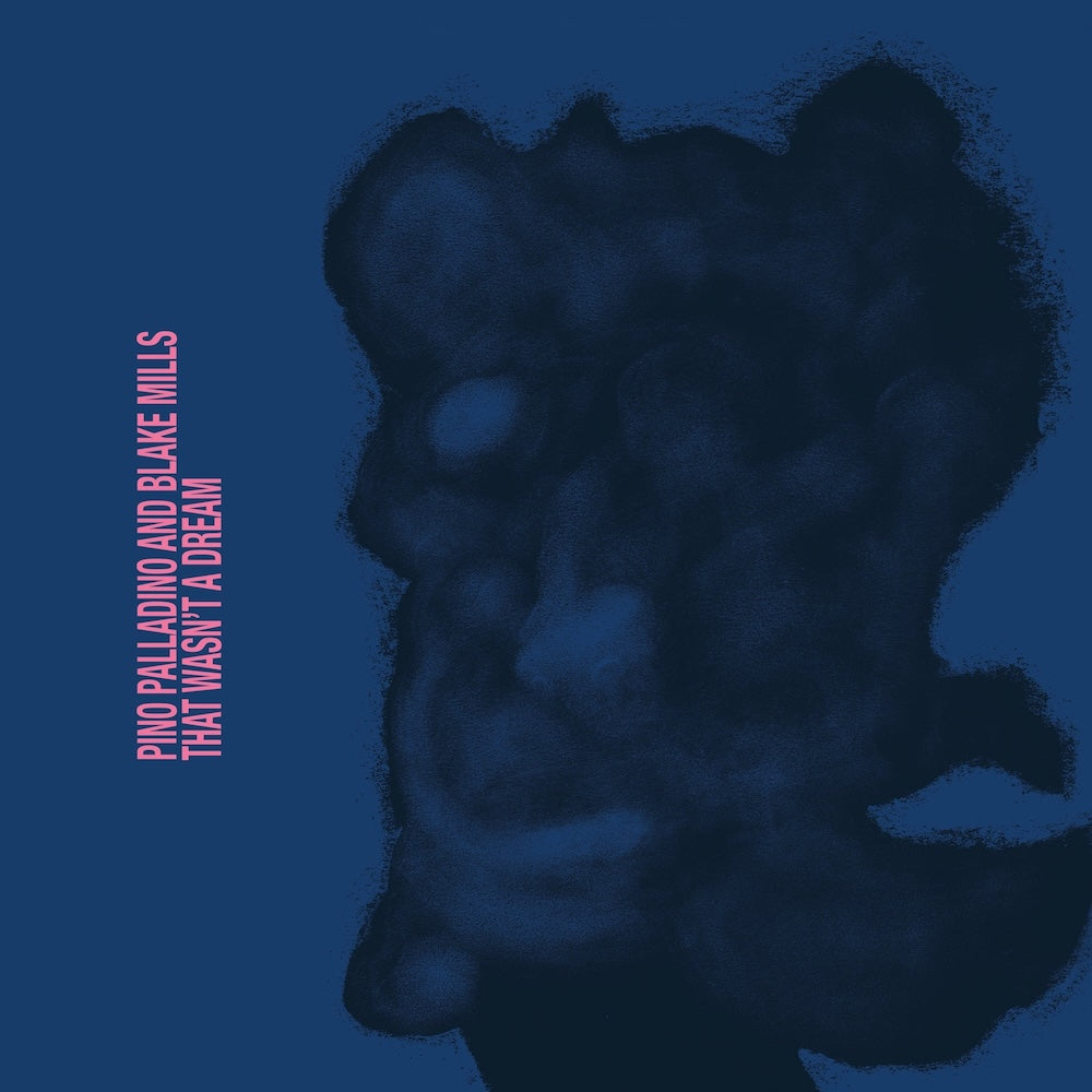Pino Palladino: That Wasn't A Dream - Vinyle