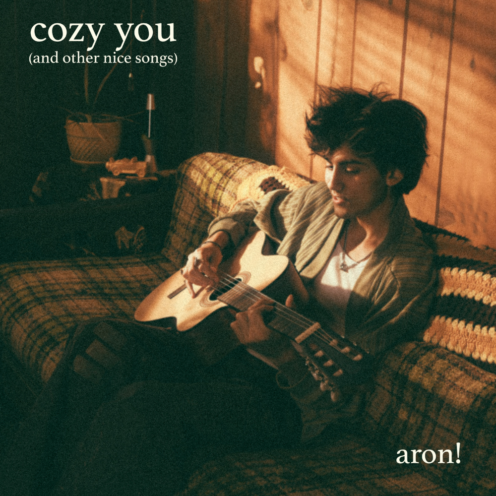 aron! - cozy you (and other nice songs) - Vinyle