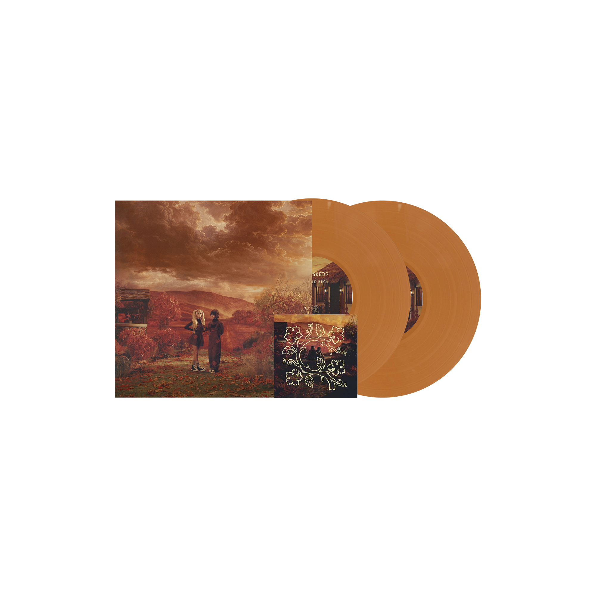 DOMi & JD Beck - WHO ASKED? - Double Vinyle Coloré Exclusive "Earth Opaque" + Artcard Dédicacée