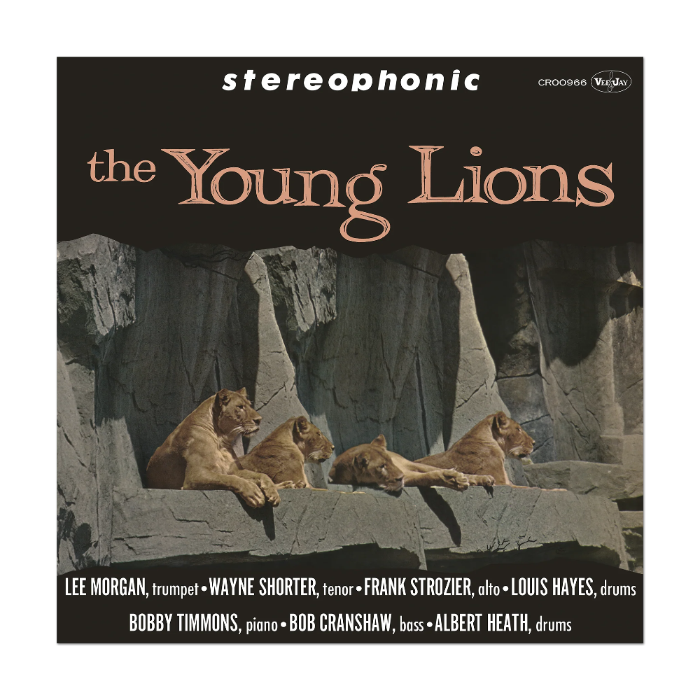 The Young Lions - The Young Lions 1LP - Cover