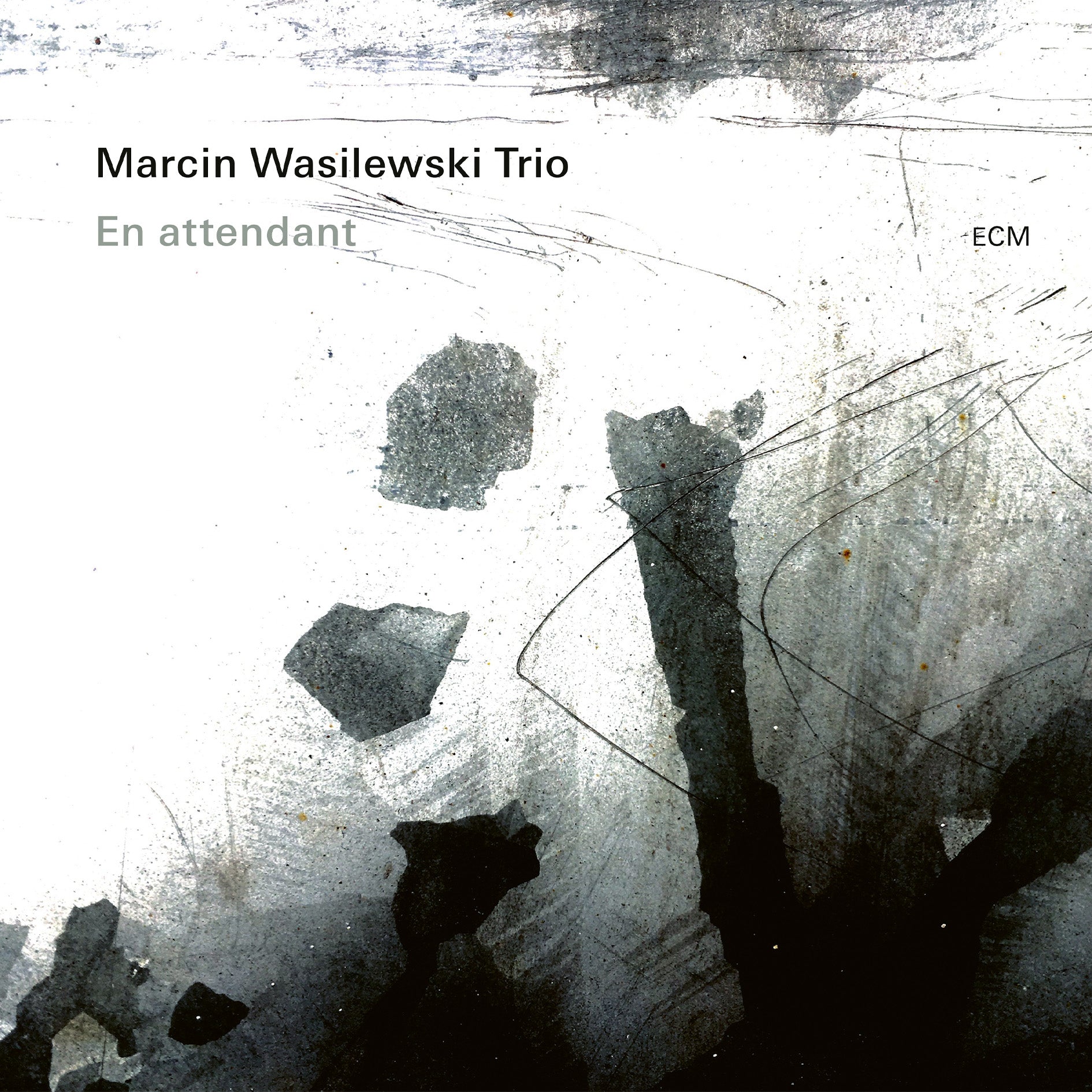 Marcin Wasilewski Trio - En attendant - Vinyle